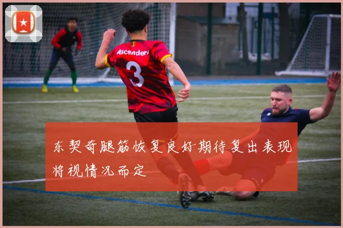 东契奇腿筋恢复良好期待复出表现将视情况而定