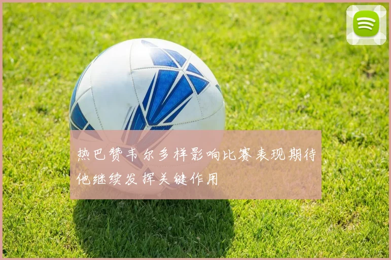 热巴赞韦尔多样影响比赛表现期待他继续发挥关键作用