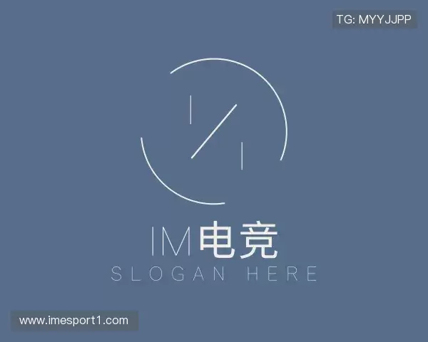 关于IM电竞官网
